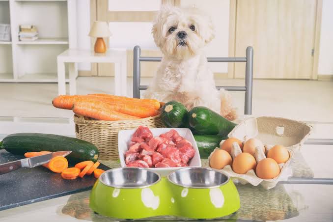 NATURAL DIET FOR DOG THUMBNAIL