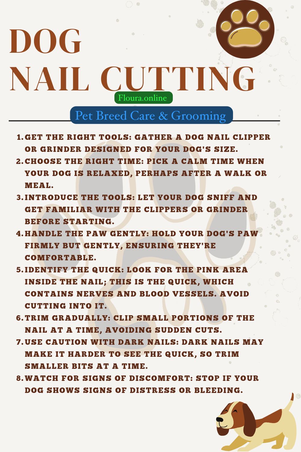 Dog Nails Cutting Tips