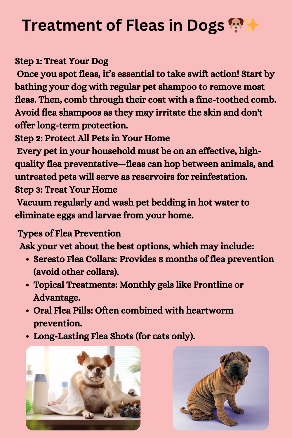 Flea Treatments for Dogs and Cats Remedies