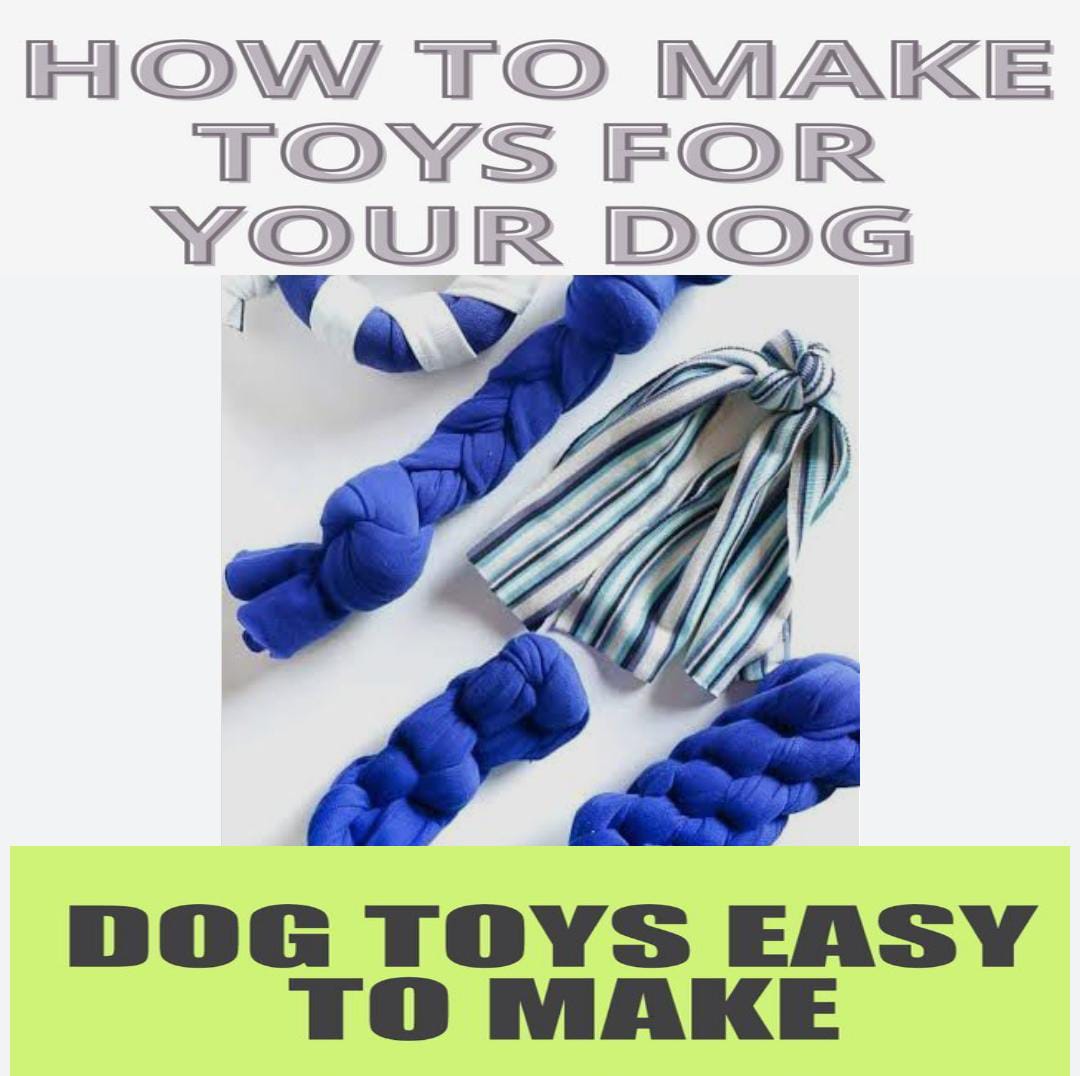 Home made DIY toys for dog, cat & pets