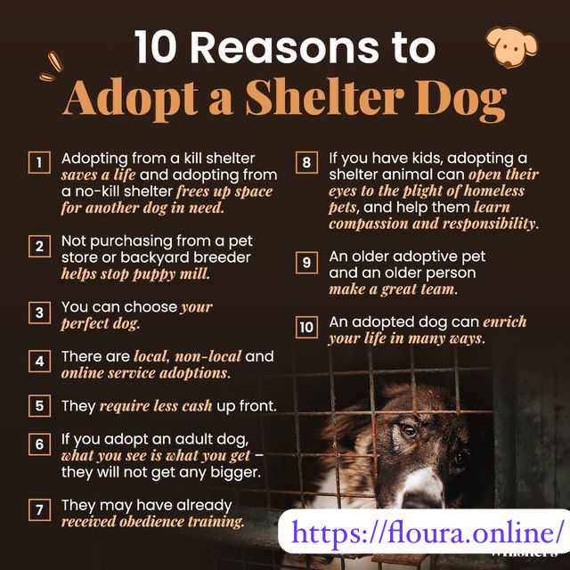 Adopt A Shelter Pets