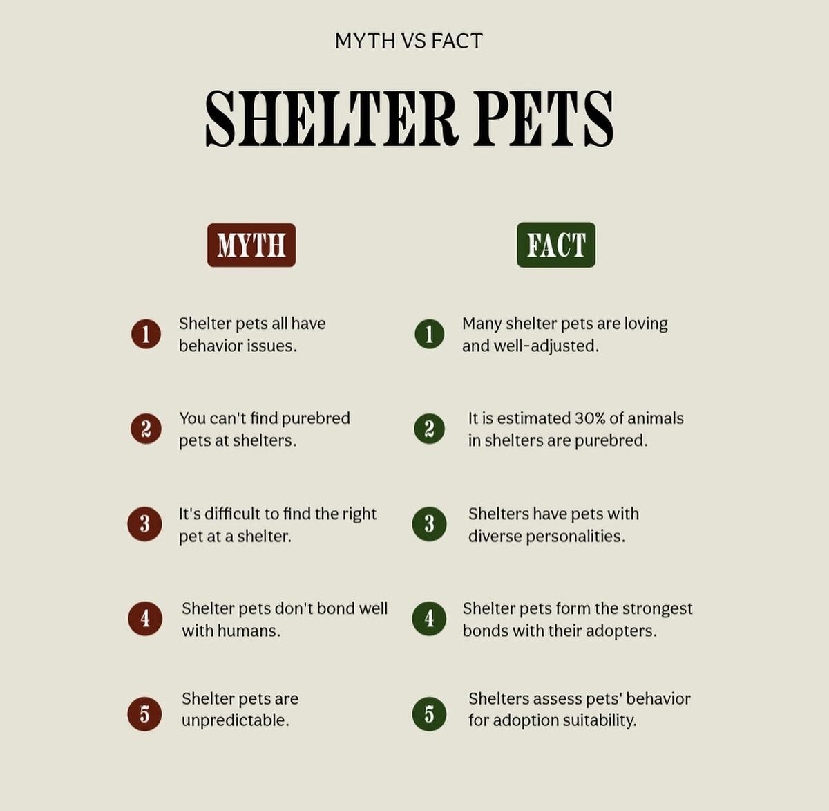 Pet Shelter Myth & True