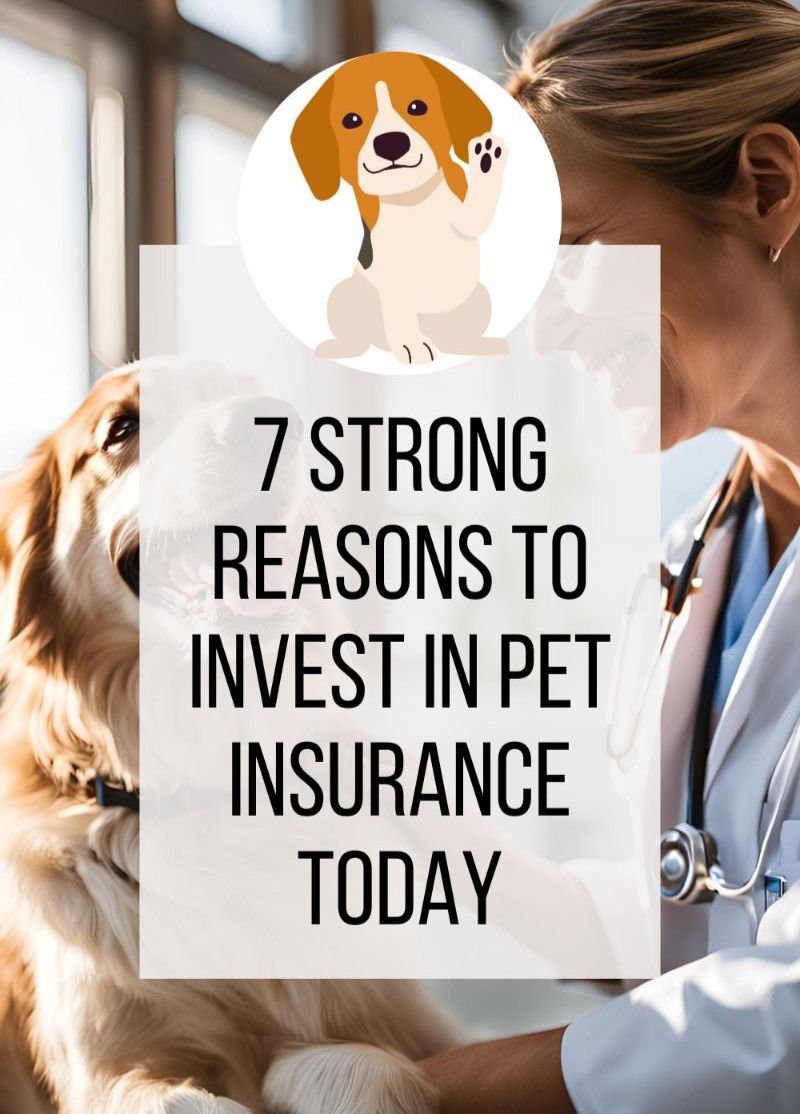 Why Pet insurance important