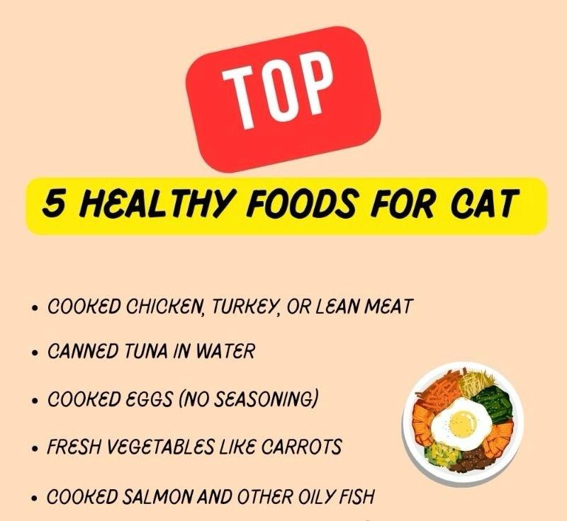 cat healthy food