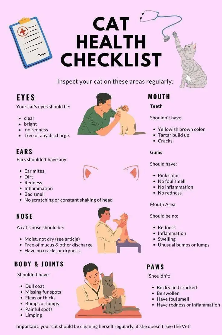 Cats Health Check List