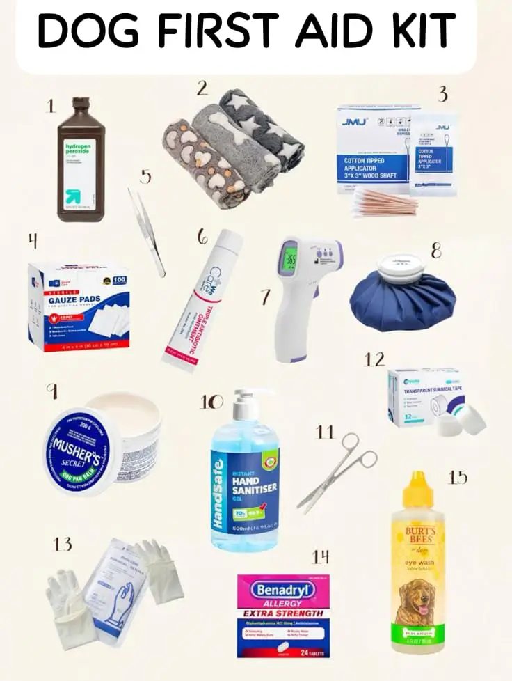 15 Important Products for New Puppy & Owner 2 First Aid kit For Pets