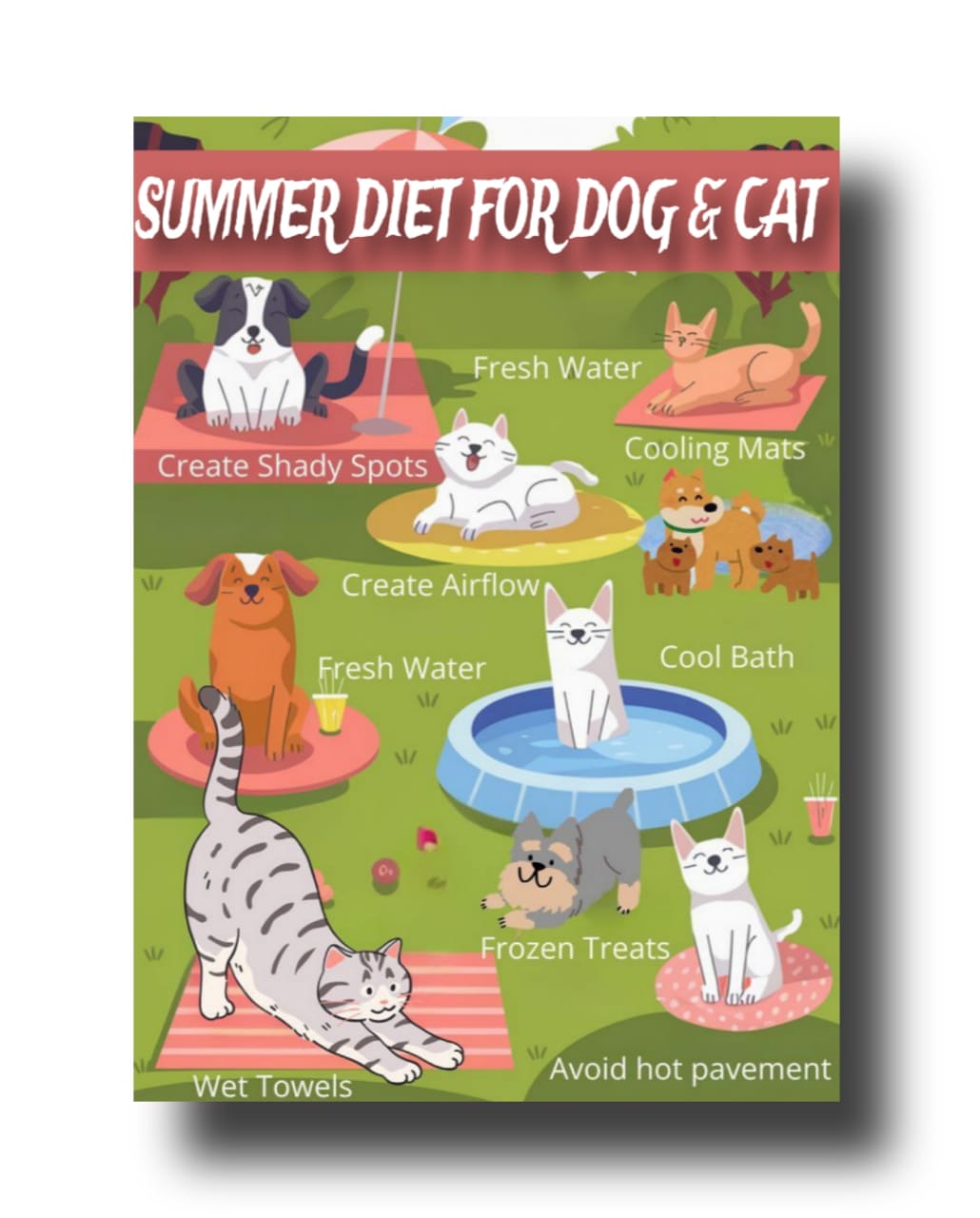 Summer Food For Dog & Cat