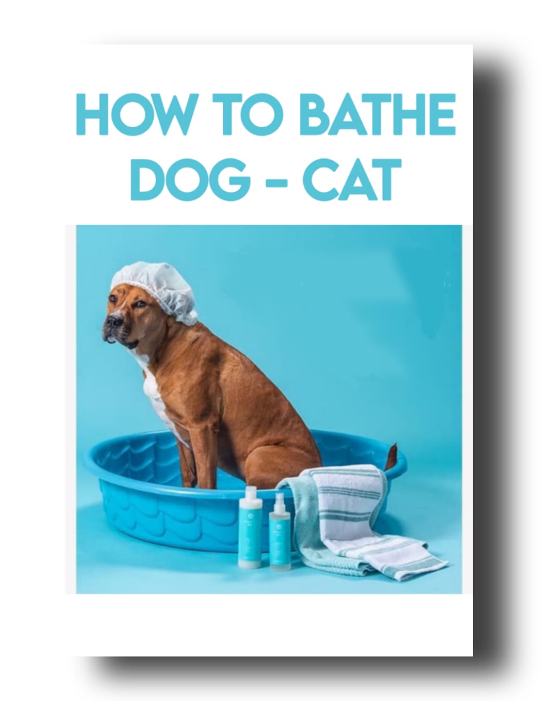 Bathe a Dog & Cat at Home