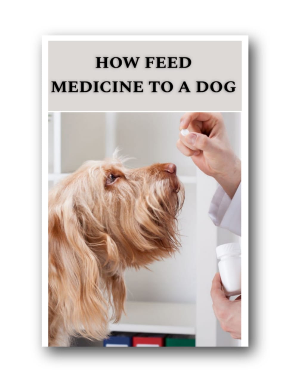 Easy Ways to Feed Medicine to a Dog