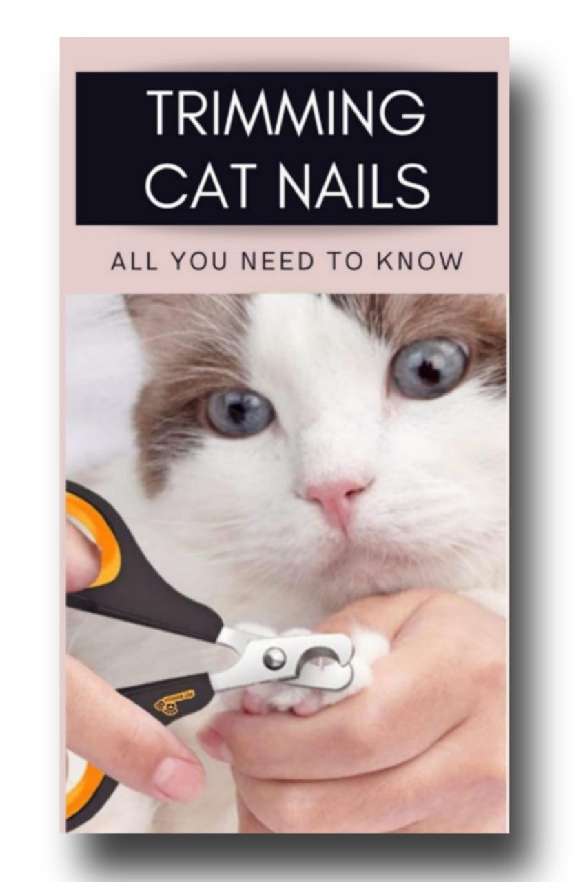 Trim Cat Nails at Home